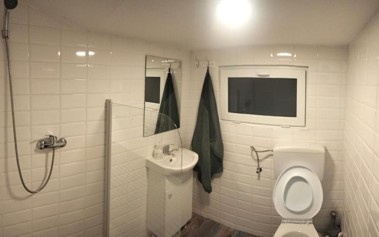 Appartement Doi Iepuri à Azuga Extérieur photo