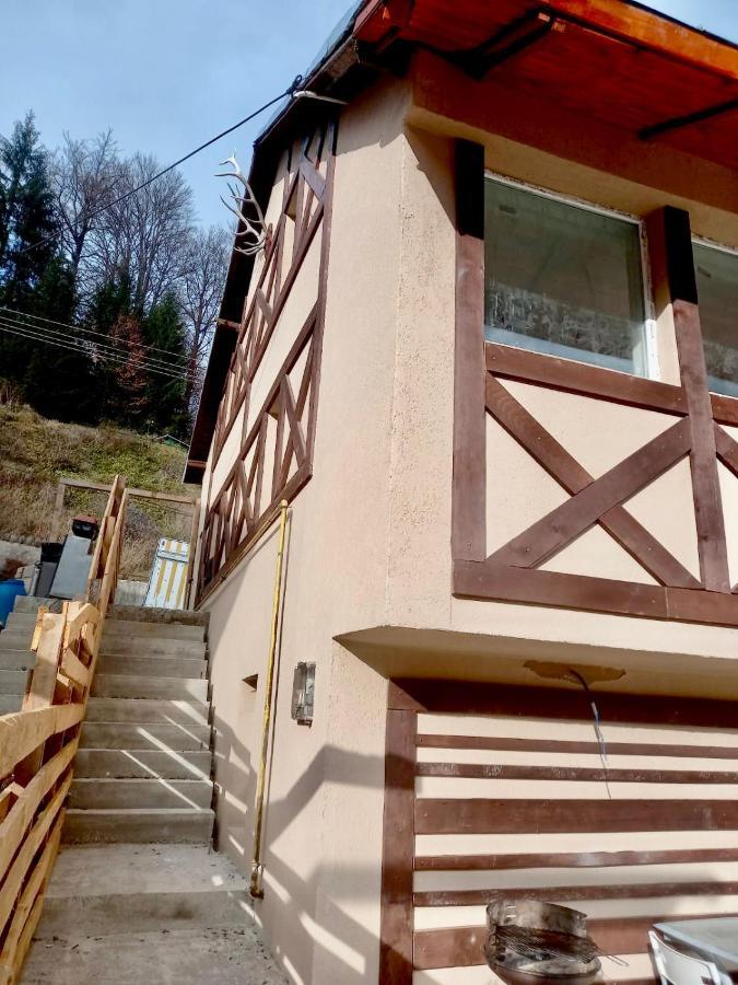 Appartement Doi Iepuri à Azuga Extérieur photo