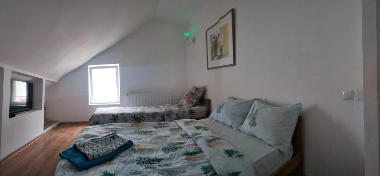 Appartement Doi Iepuri à Azuga Extérieur photo